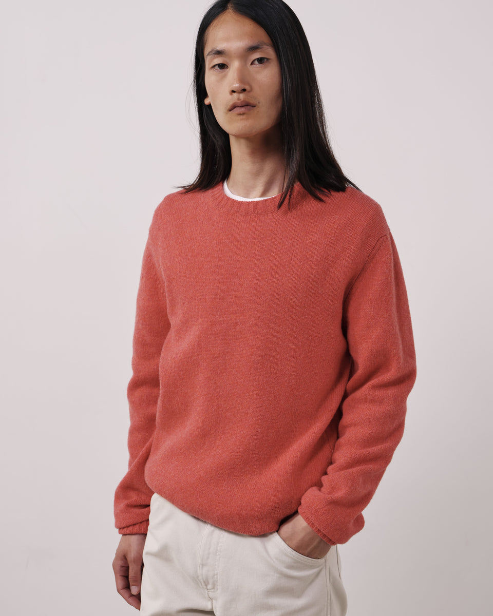 Pull Homme en Laine Vierge Corail Shetland Crew - Image principale