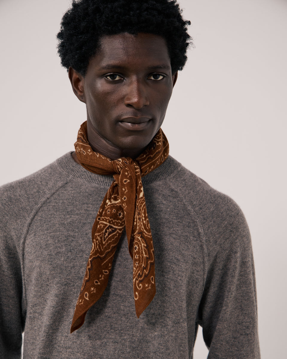Echarpe Homme en Laine imprimée Paisley Marron Bandana - Image 2