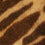 Women's Camel Zebra Print Wool Scarf